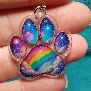 Dog paw rainbow 🌈 bridge 🌉 wire earrings love colorful sentimental